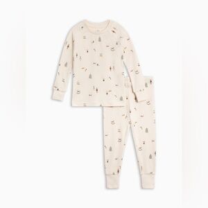 Colored Organics 2 Piece Long Sleeve Jammie Set | Noel